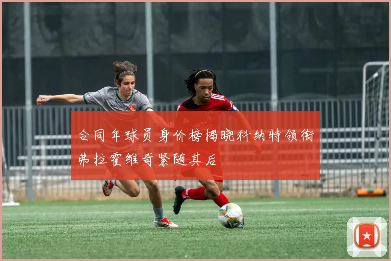 合同年球员身价榜揭晓科纳特领衔弗拉霍维奇紧随其后